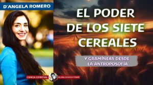EL PODER DE LOS 7 CEREALES Y LAS GRAMÍNEAS